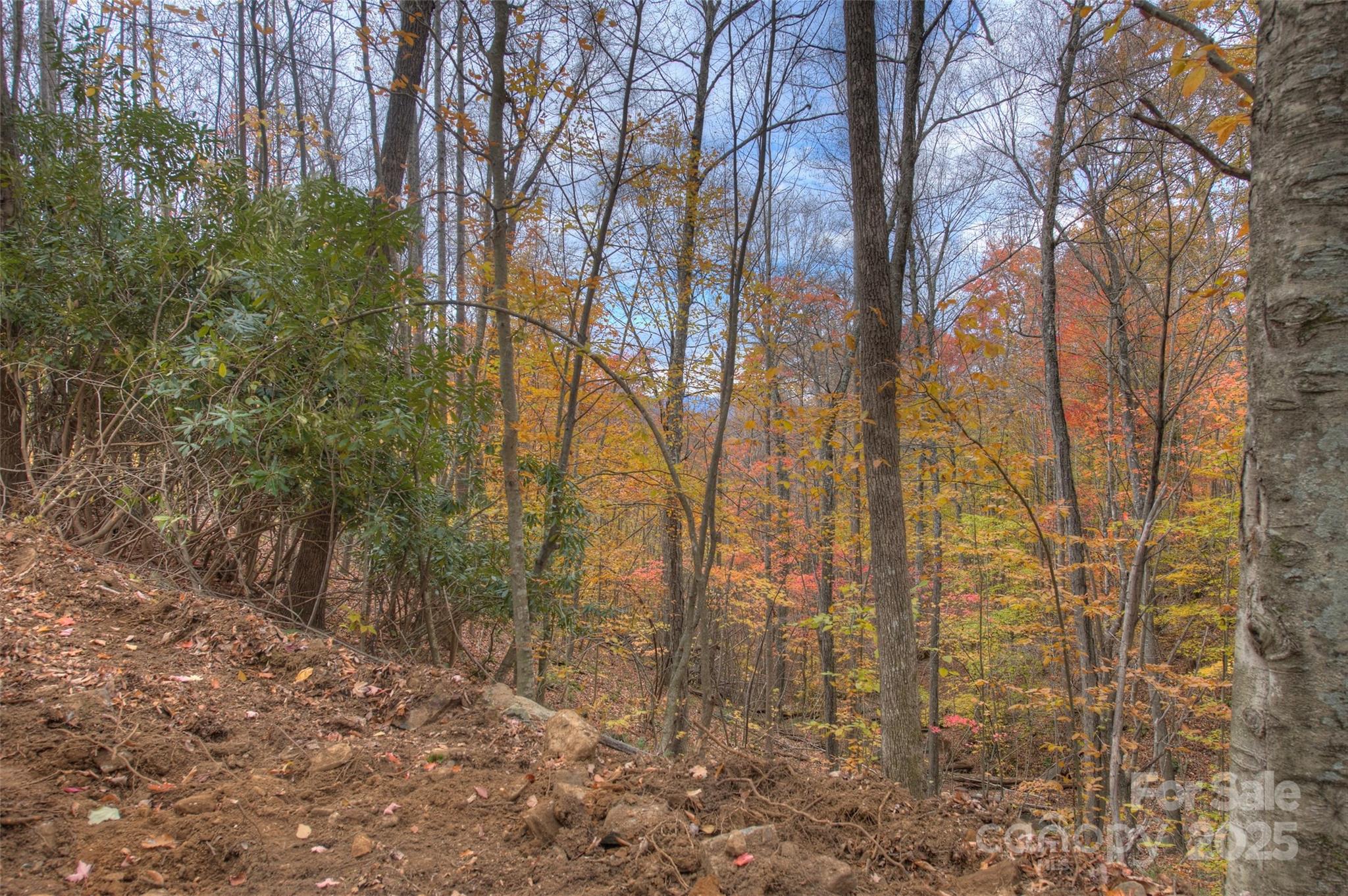 0 Pebble Ridge Road Spruce Pine NC 28777