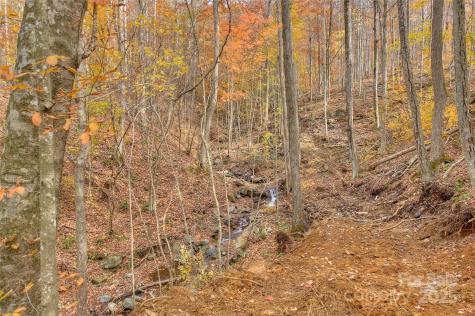0 Pebble Ridge Road Spruce Pine NC 28777
