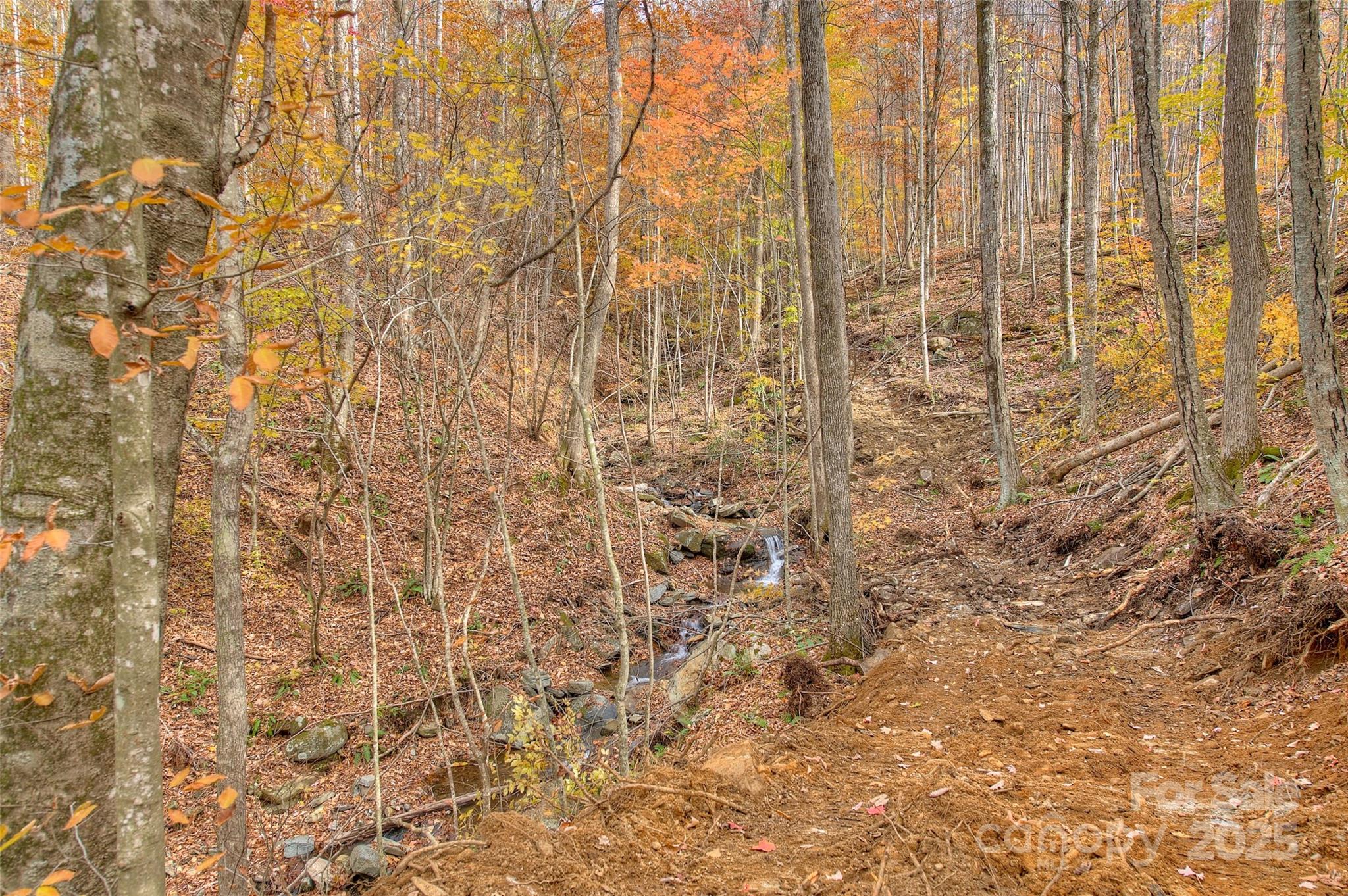 0 Pebble Ridge Road Spruce Pine NC 28777