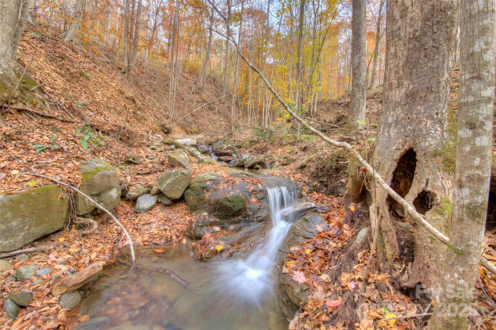 0 Pebble Ridge Road Spruce Pine NC 28777