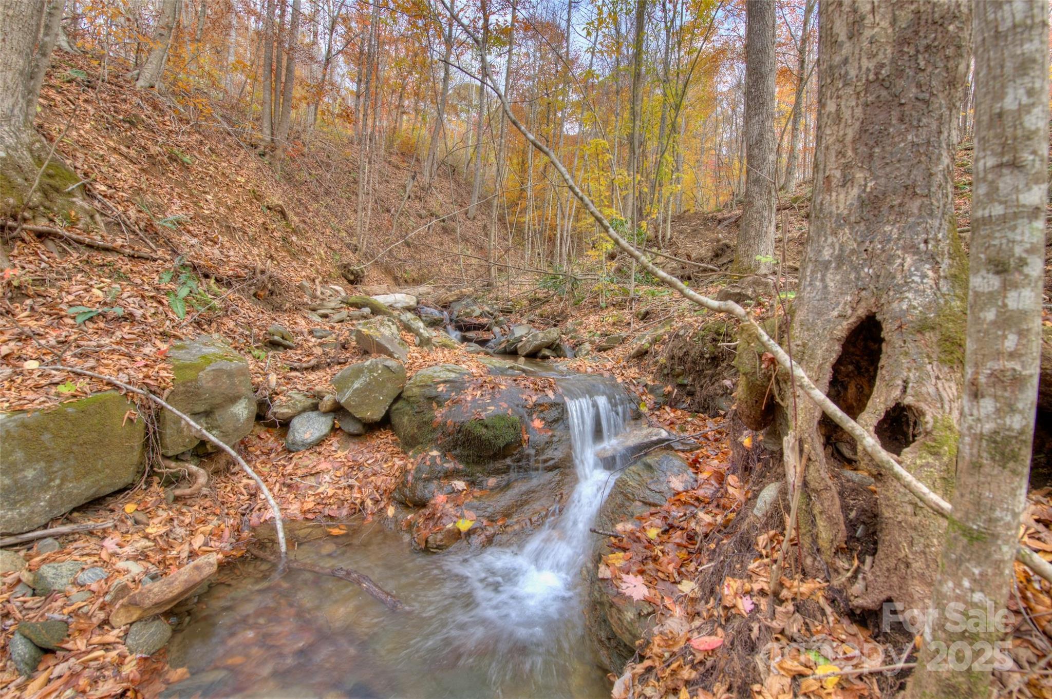 0 Pebble Ridge Road Spruce Pine NC 28777