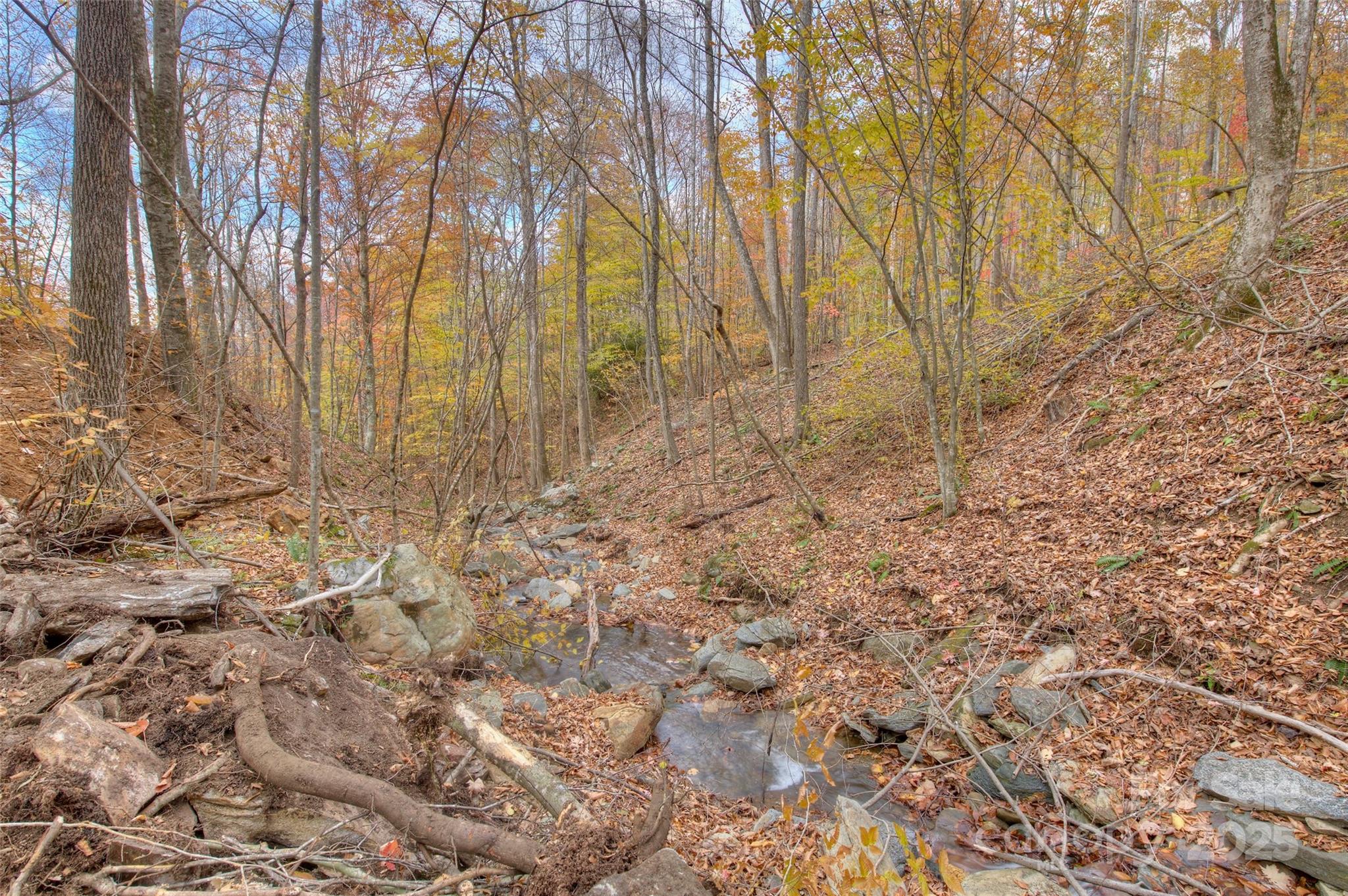0 Pebble Ridge Road Spruce Pine NC 28777