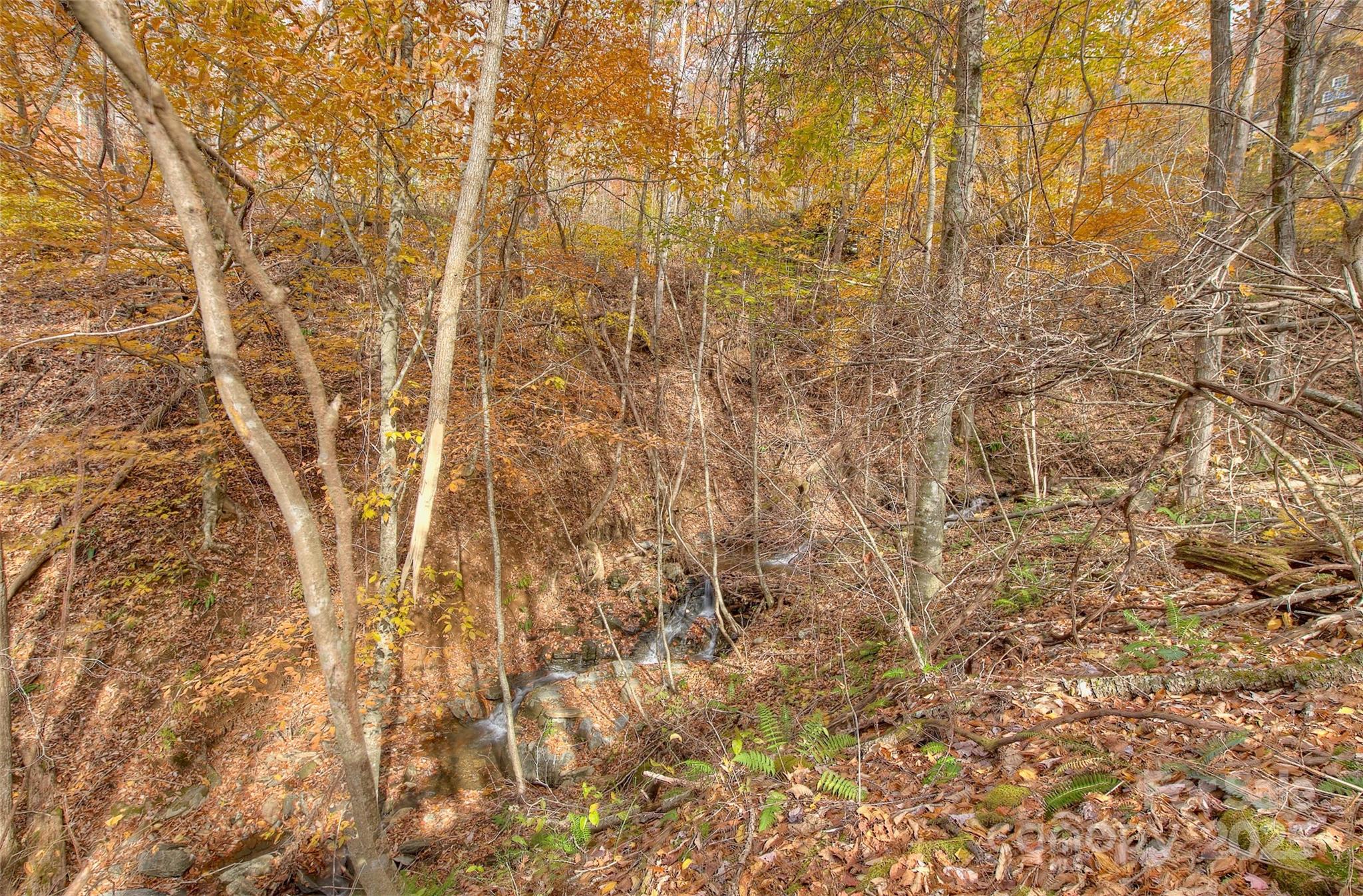 0 Pebble Ridge Road Spruce Pine NC 28777