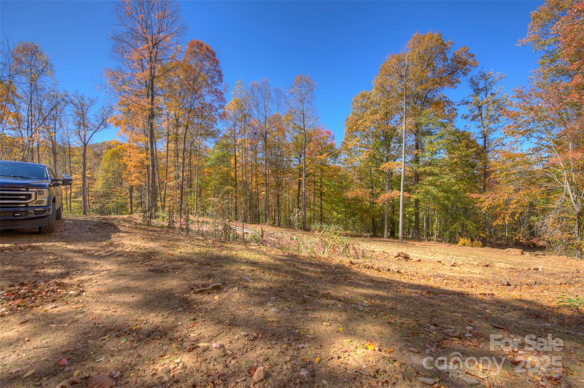 0 Pebble Ridge Road Spruce Pine NC 28777