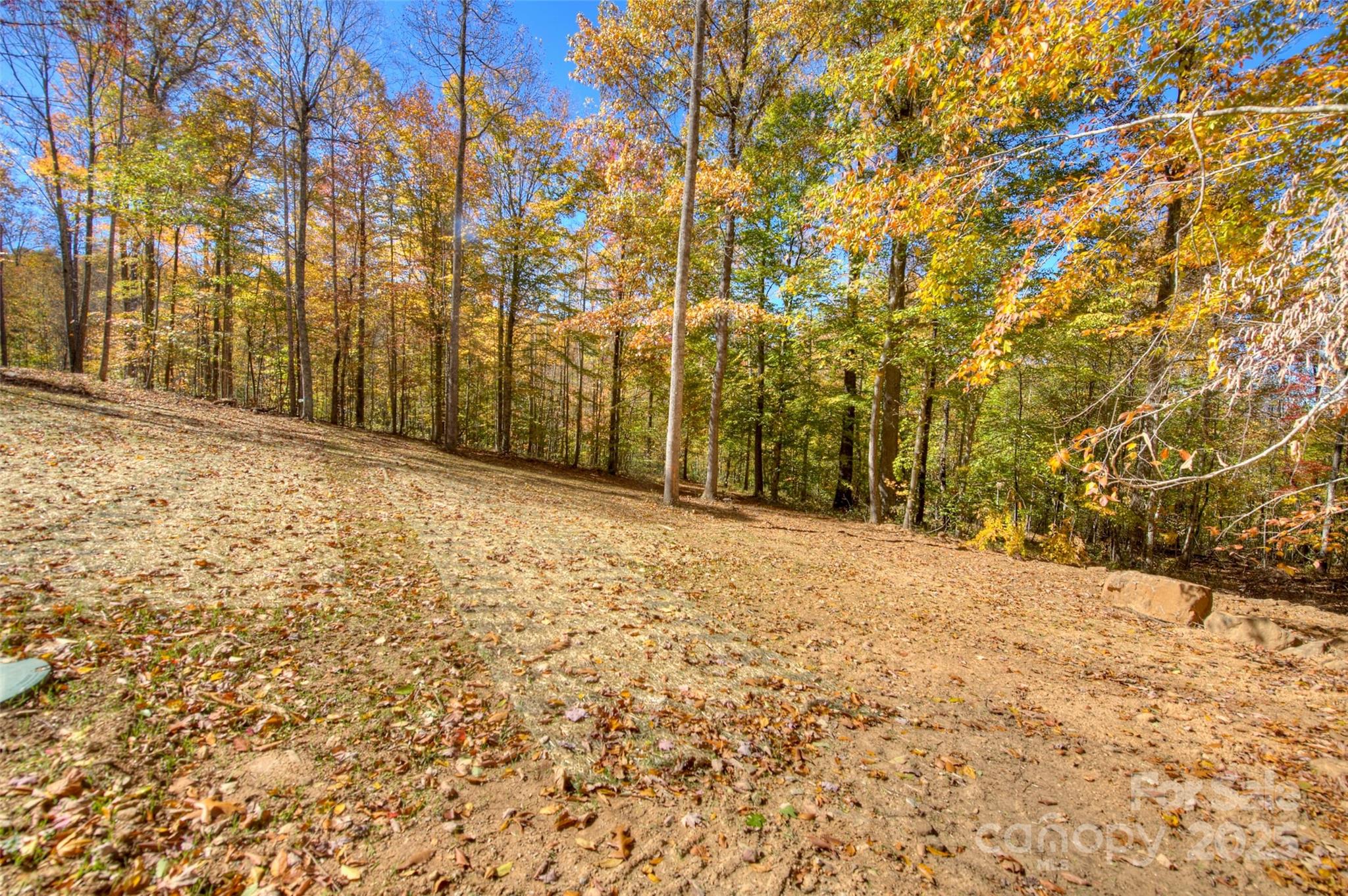 0 Pebble Ridge Road Spruce Pine NC 28777