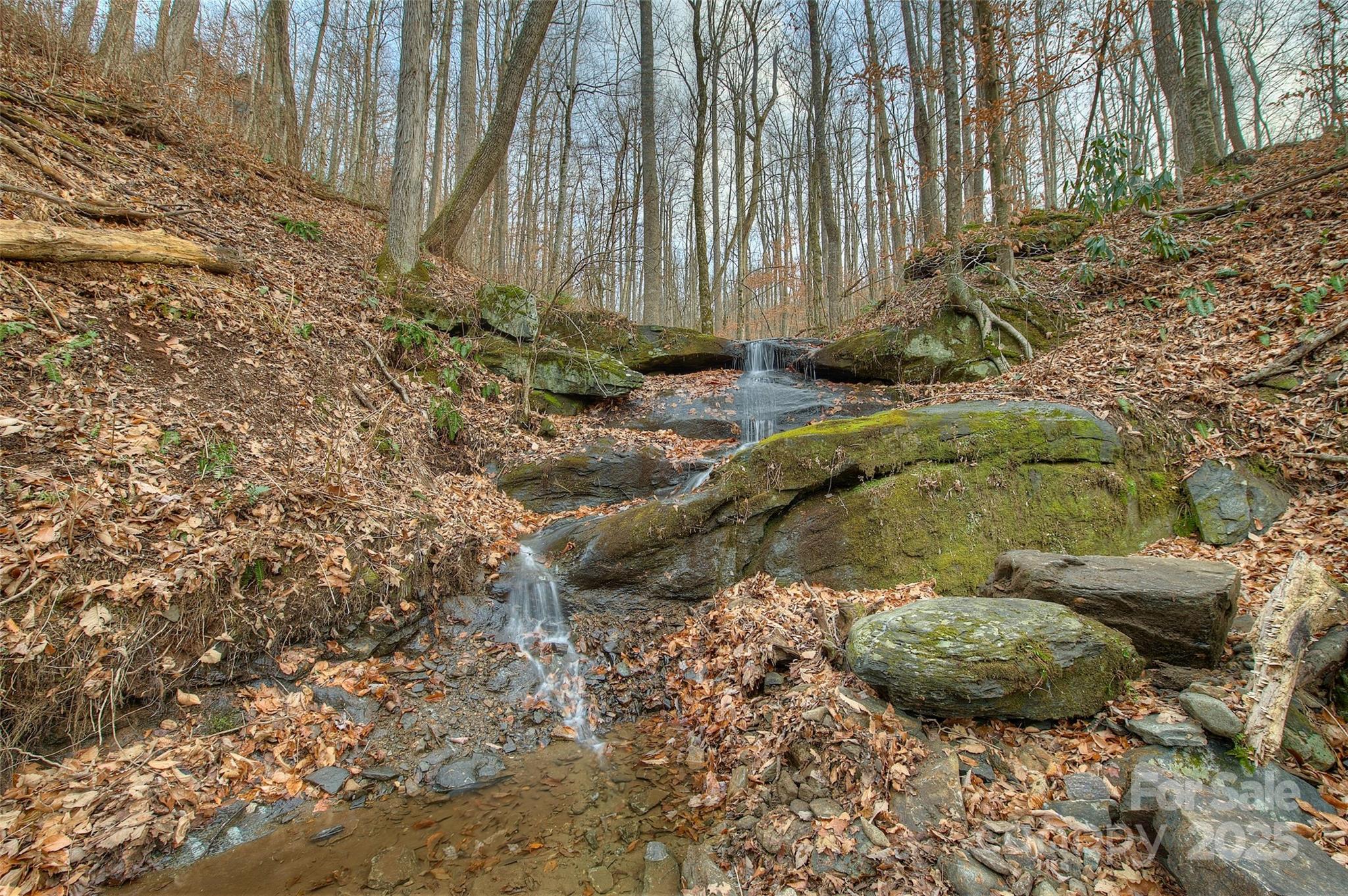 0 Pebble Ridge Road Spruce Pine NC 28777