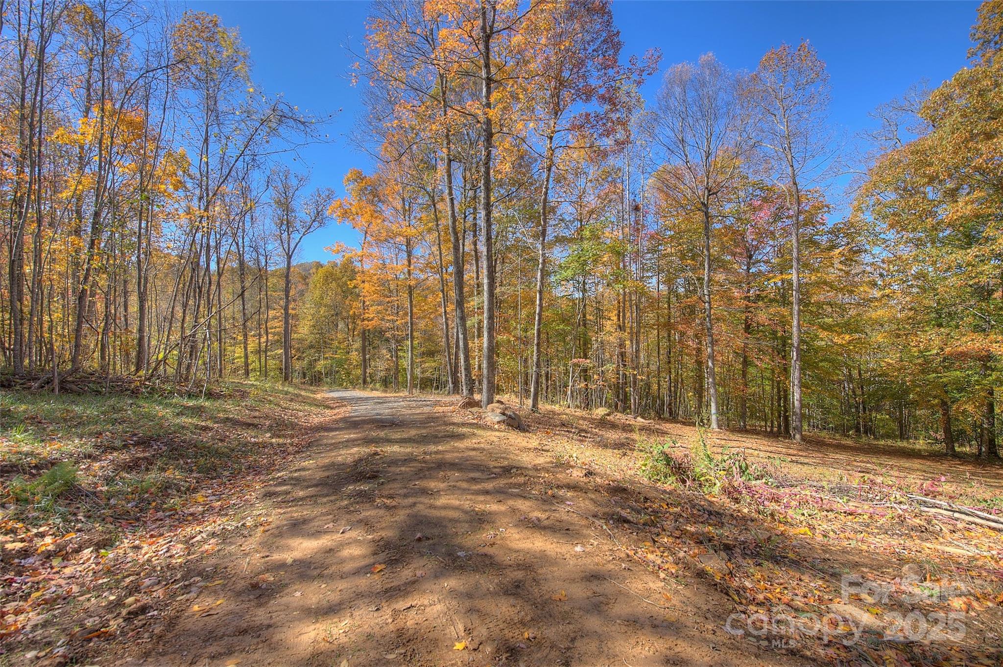 0 Pebble Ridge Road Spruce Pine NC 28777