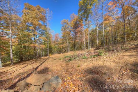 0 Pebble Ridge Road Spruce Pine NC 28777