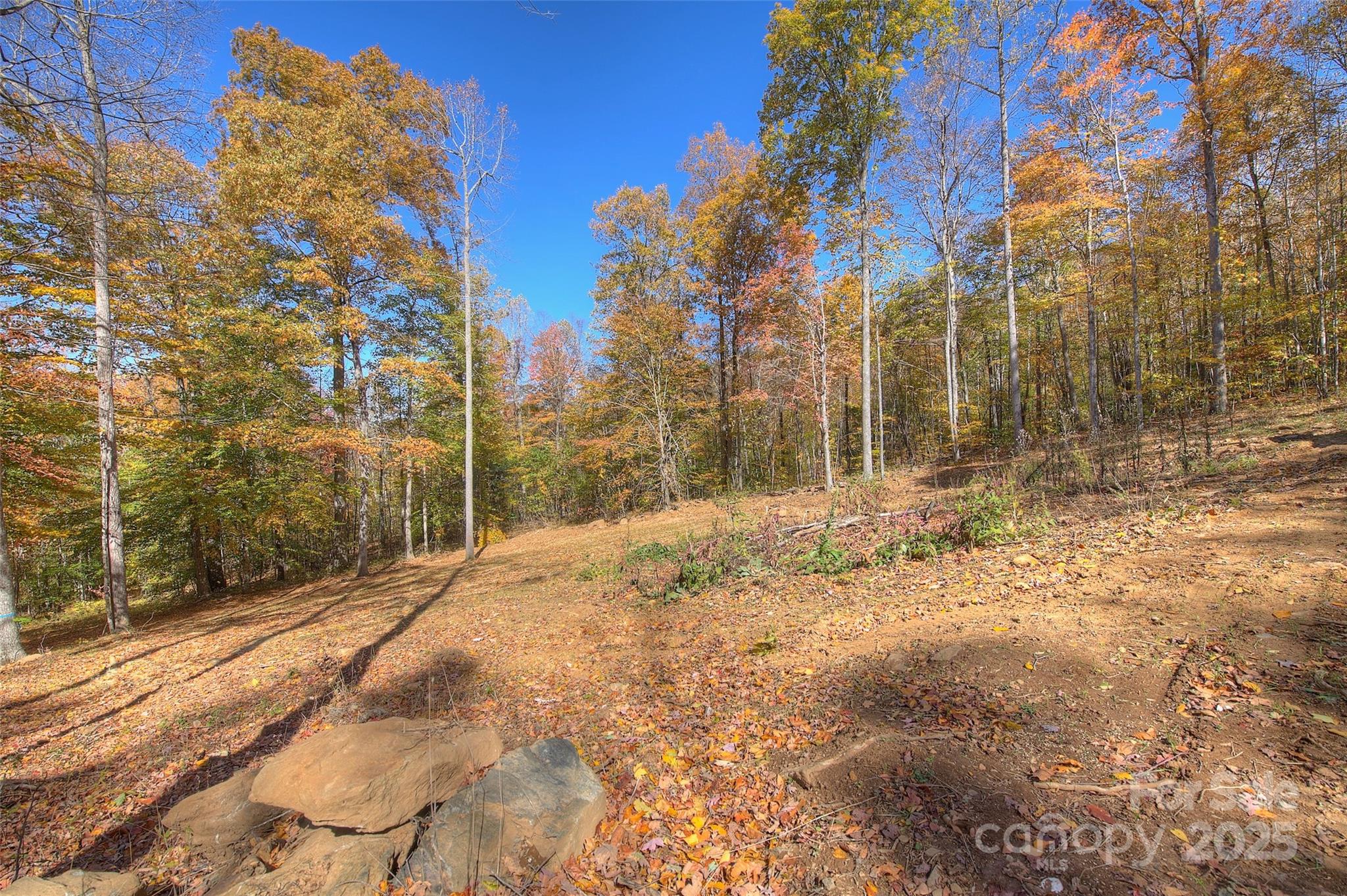 0 Pebble Ridge Road Spruce Pine NC 28777