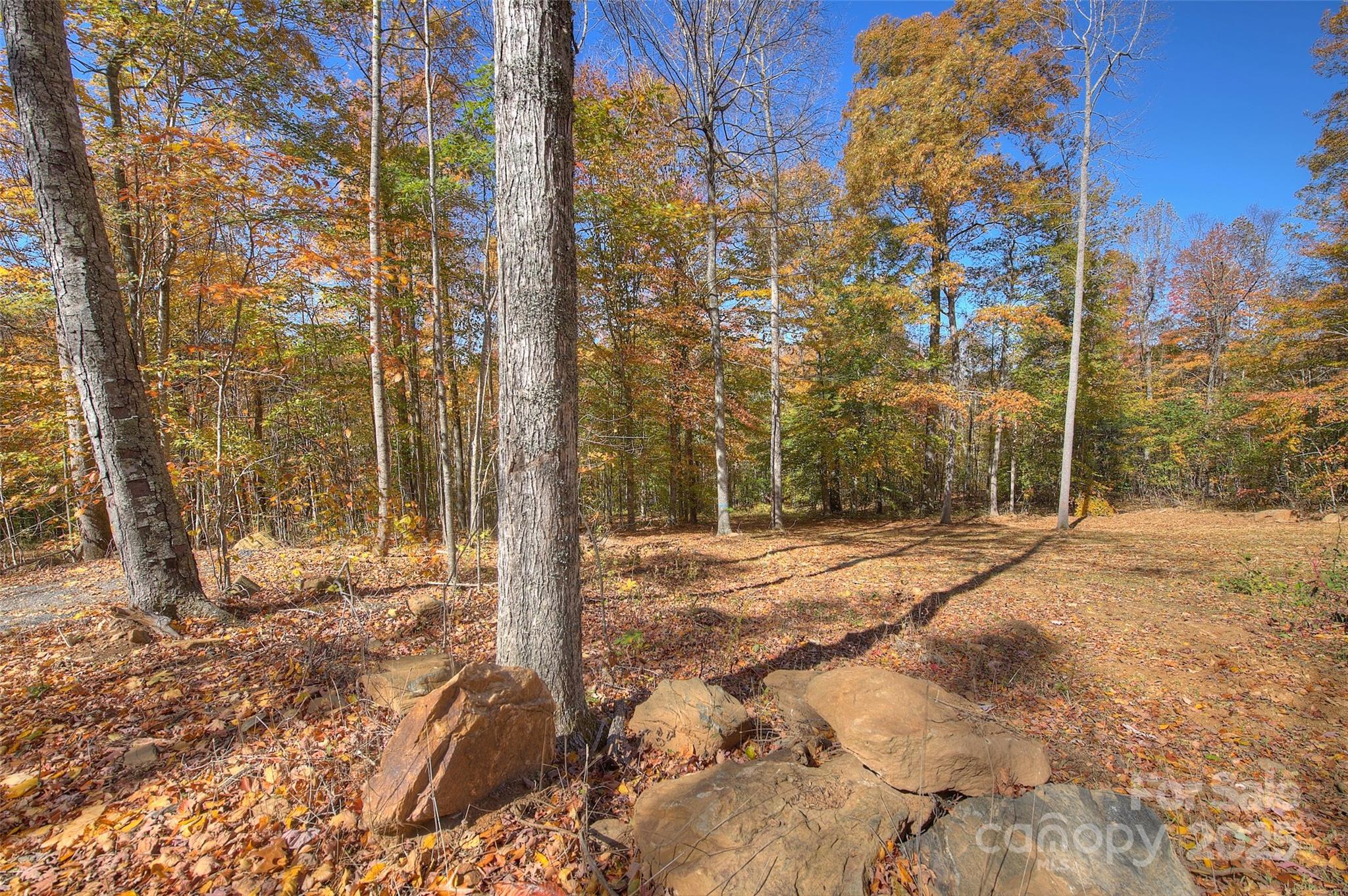 0 Pebble Ridge Road Spruce Pine NC 28777