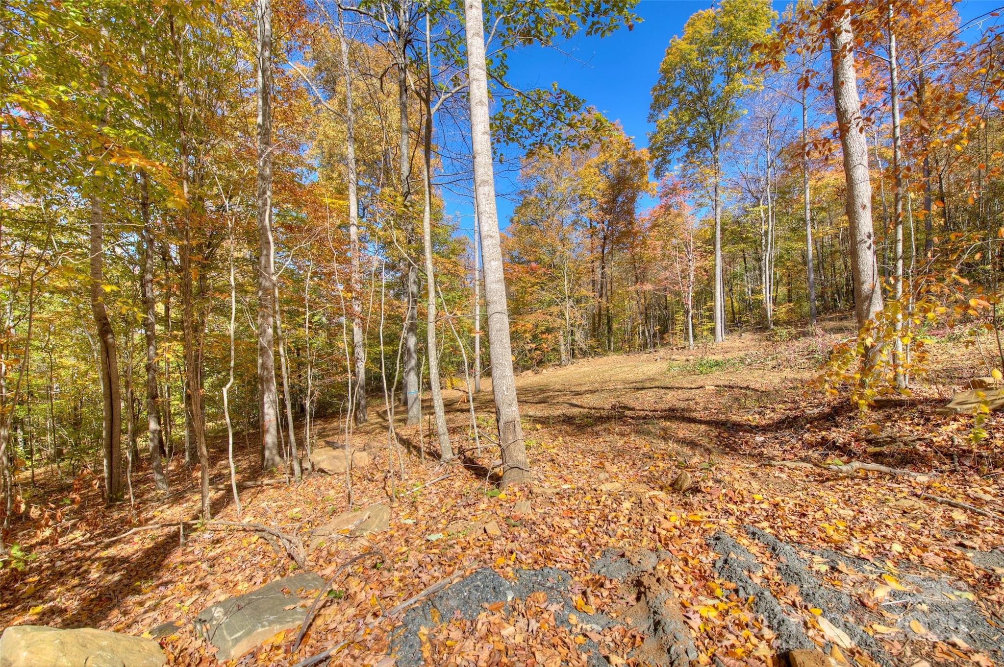 0 Pebble Ridge Road Spruce Pine NC 28777