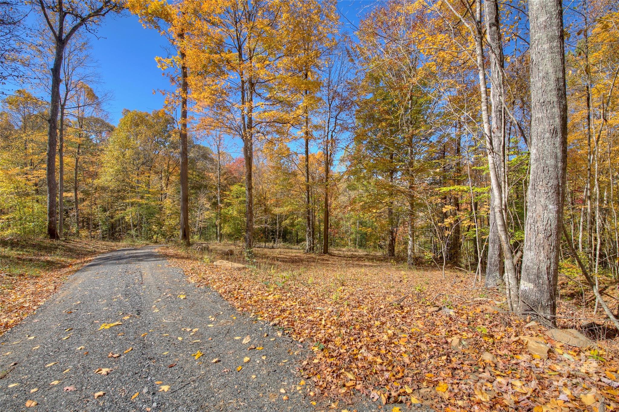 0 Pebble Ridge Road Spruce Pine NC 28777