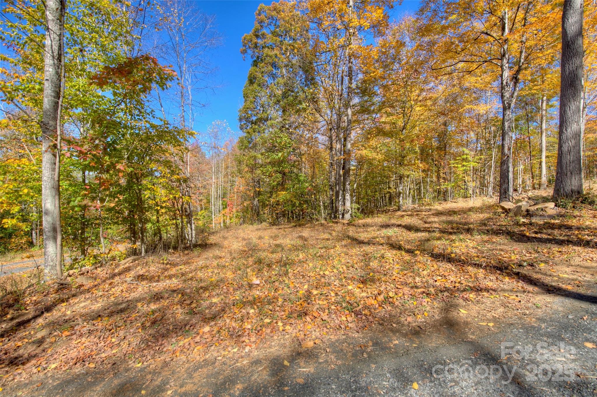 0 Pebble Ridge Road Spruce Pine NC 28777