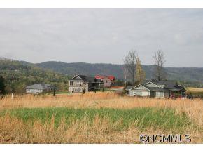4 Al Dorf Drive Weaverville NC 28787