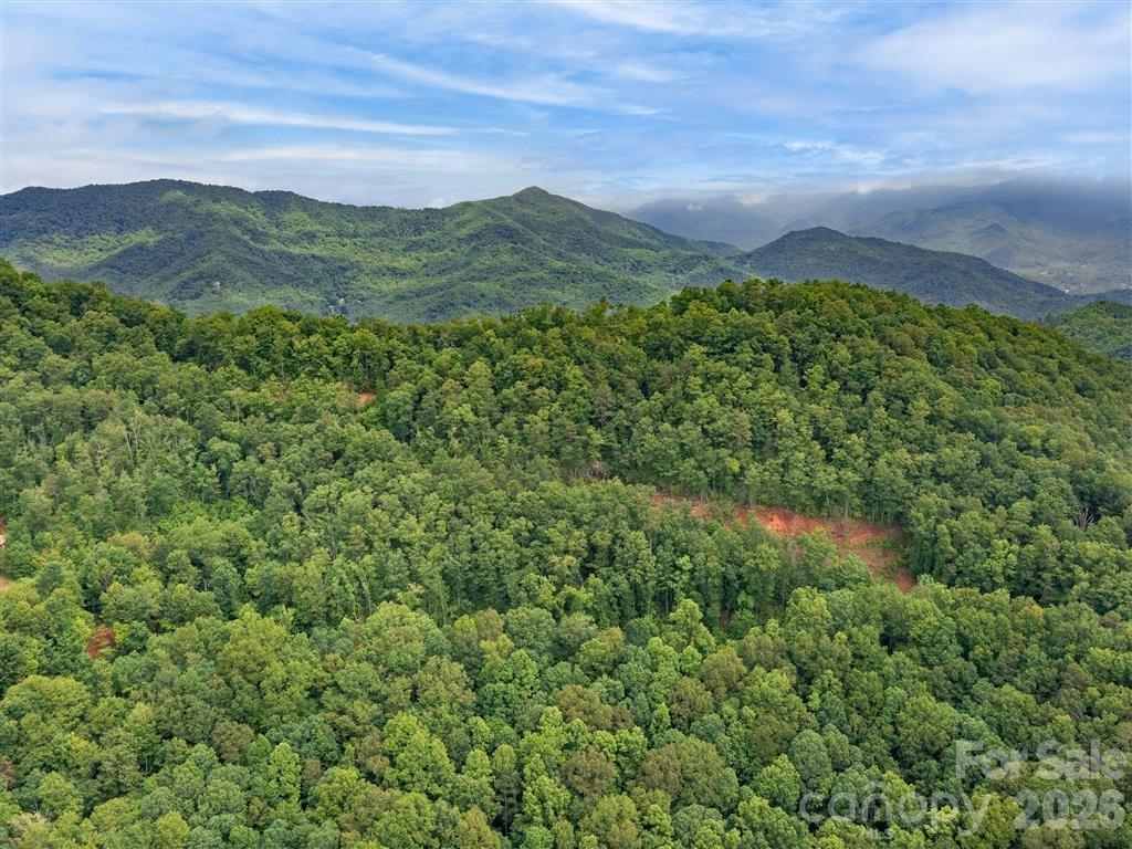 0 Quiet Cove Road Sylva NC 28779