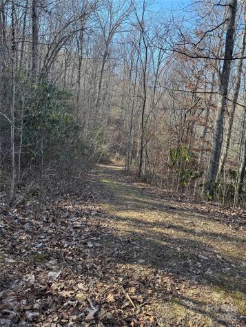 Lot #41 S Country Club Drive Cullowhee NC 28723