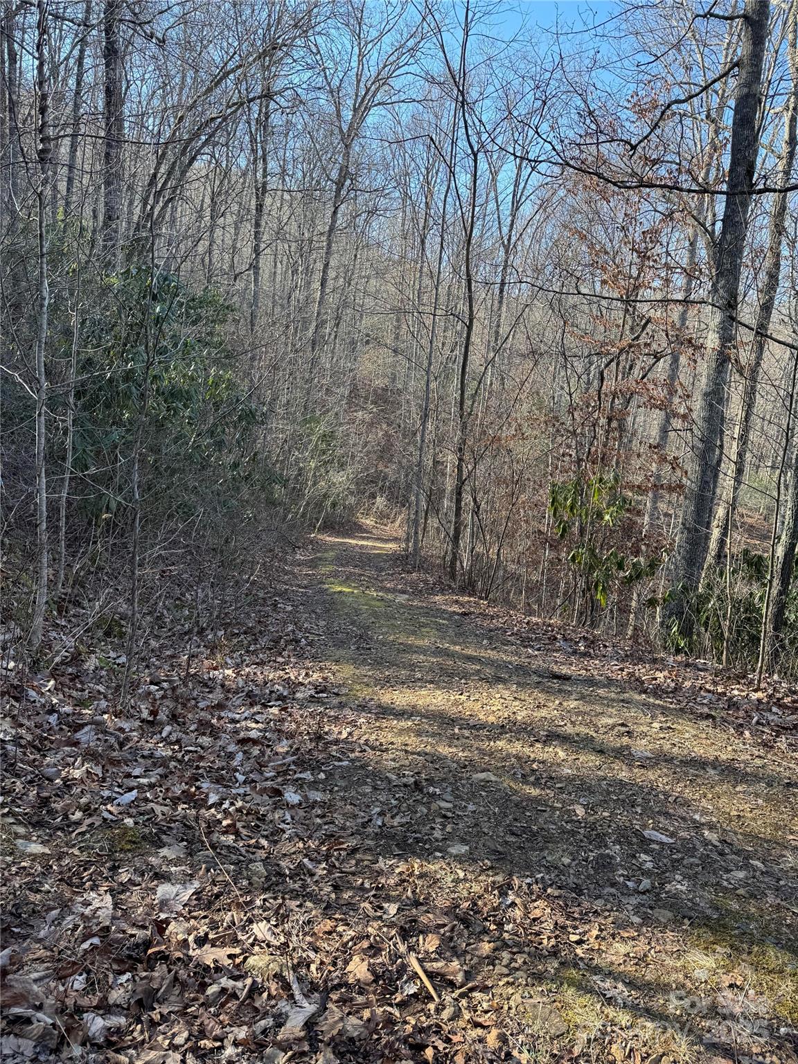 Lot #41 S Country Club Drive Cullowhee NC 28723