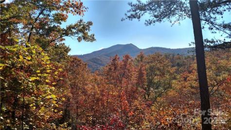 Lot #41 S Country Club Drive Cullowhee NC 28723