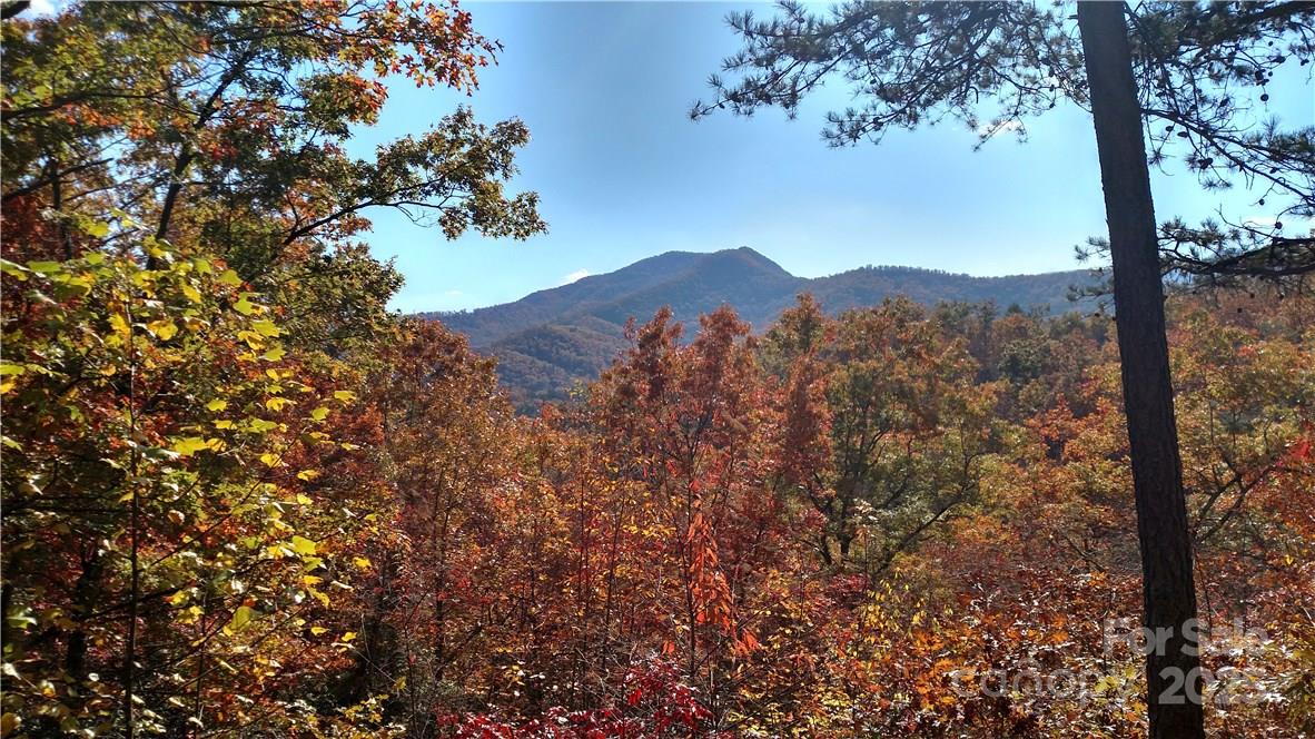 Lot #41 S Country Club Drive Cullowhee NC 28723