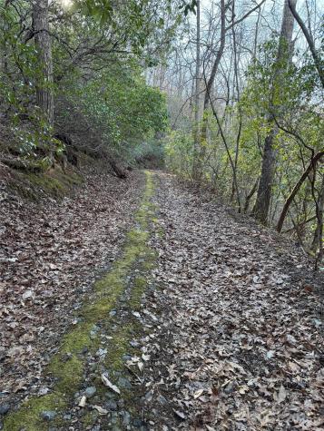 Lot #41 S Country Club Drive Cullowhee NC 28723