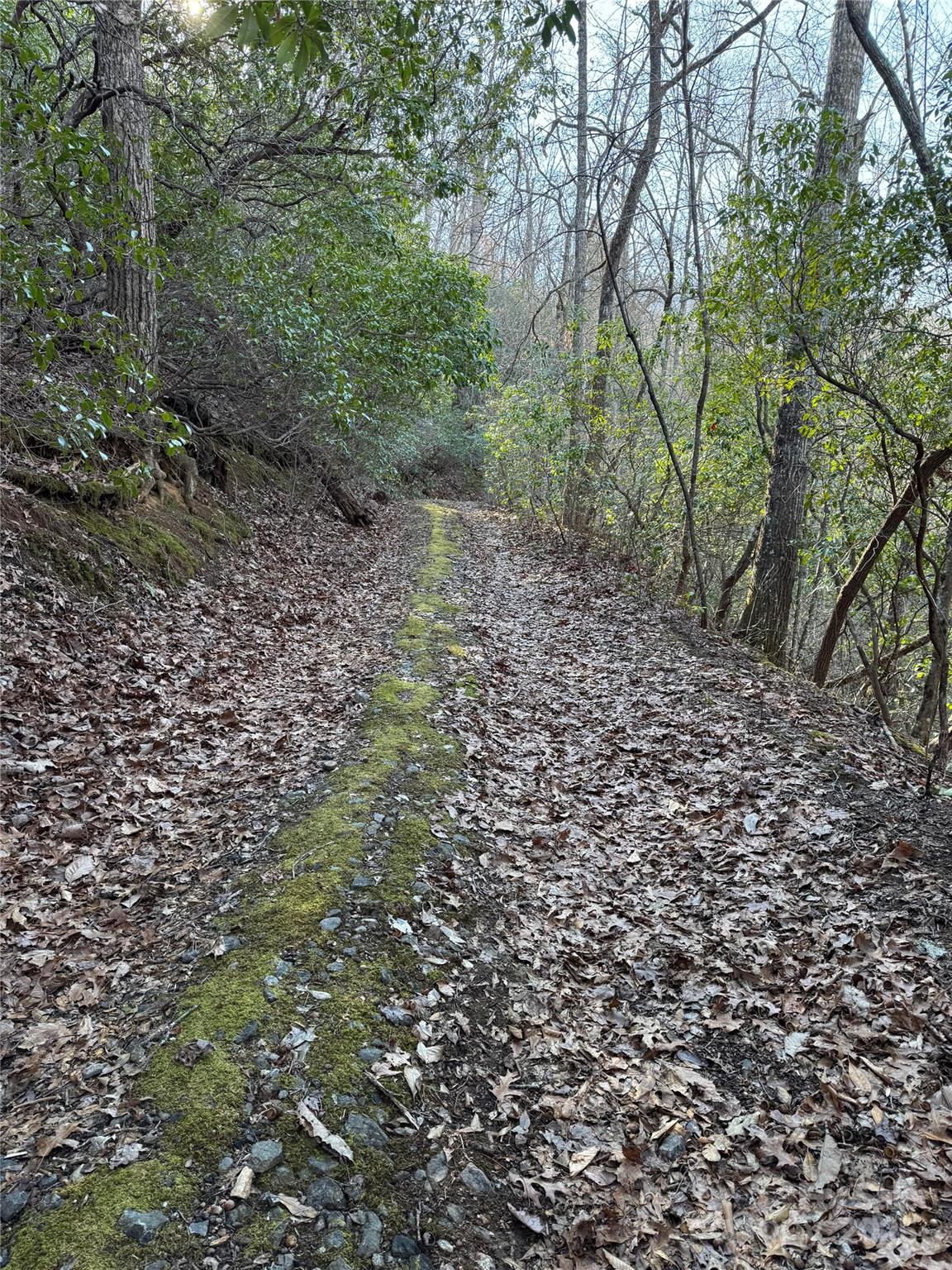 Lot #41 S Country Club Drive Cullowhee NC 28723
