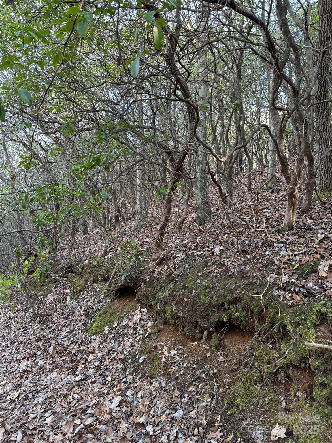 Lot #41 S Country Club Drive Cullowhee NC 28723