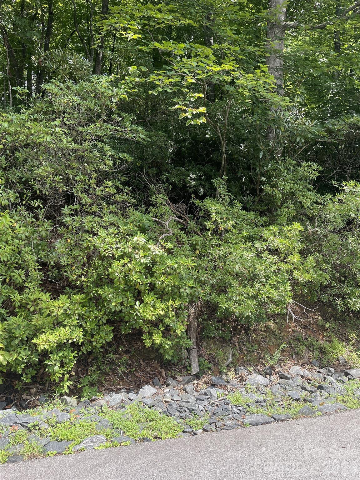 00 Winterstar Loop Burnsville NC 28714