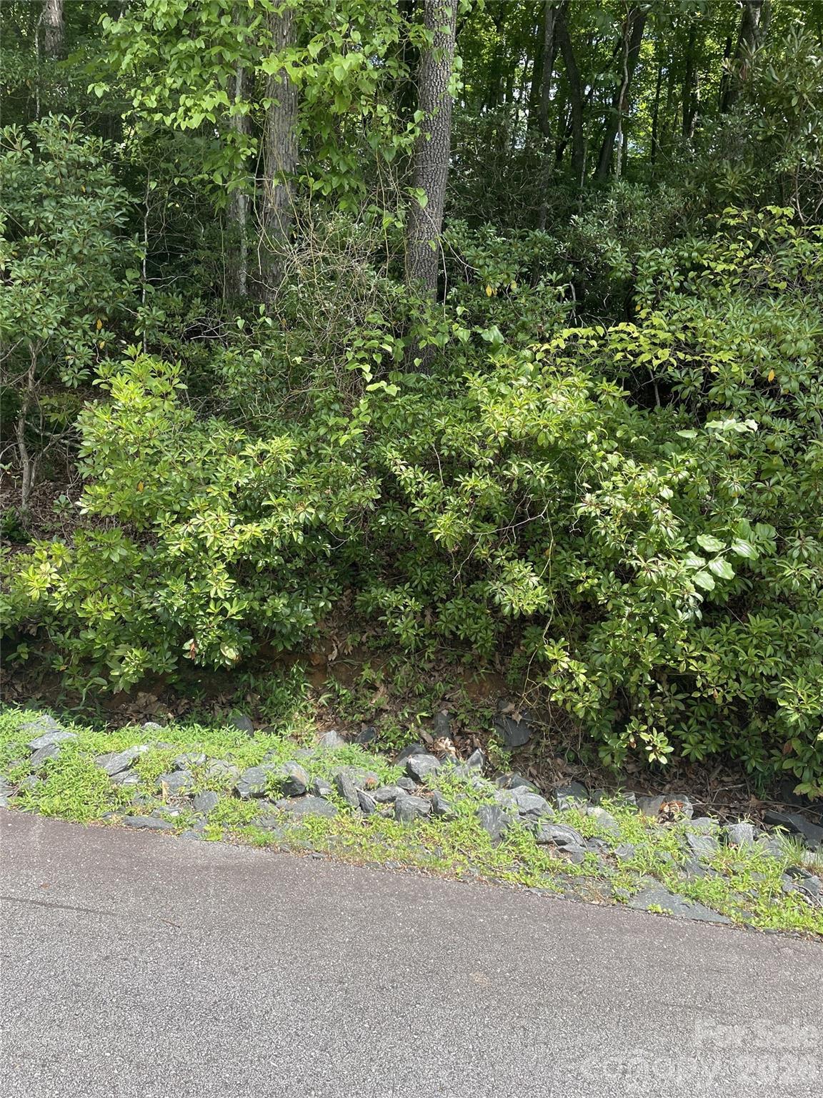 00 Winterstar Loop Burnsville NC 28714