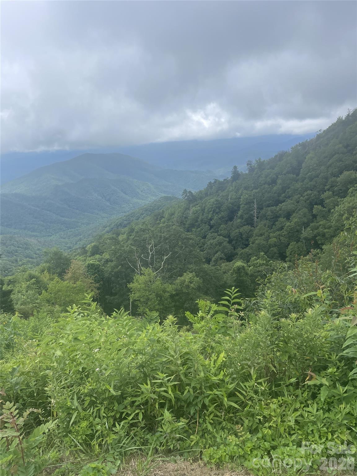 00 Winterstar Loop Burnsville NC 28714