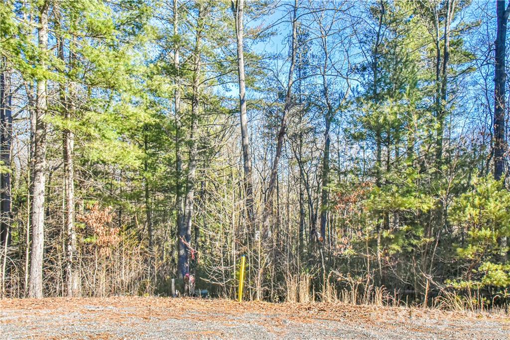 29 Buffalo Creek Drive Fairview NC 28730
