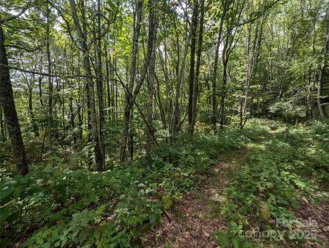 0 Greenspire Drive Sylva NC 28779