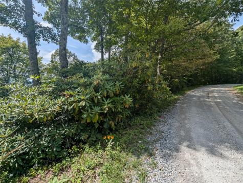 0 Greenspire Drive Sylva NC 28779