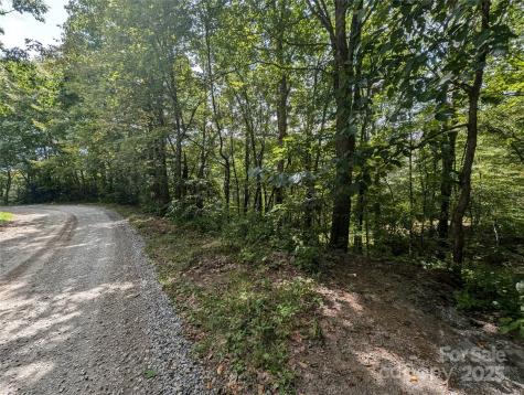 0 Greenspire Drive Sylva NC 28779