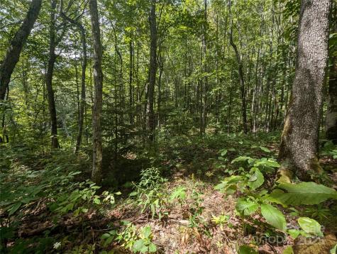 0 Greenspire Drive Sylva NC 28779