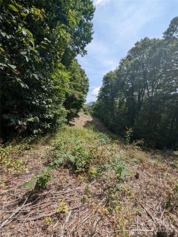 0 Greenspire Drive Sylva NC 28779