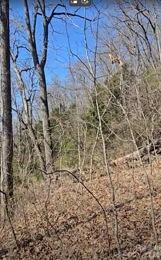 30 Black Mountain Road Cullowhee NC 28723