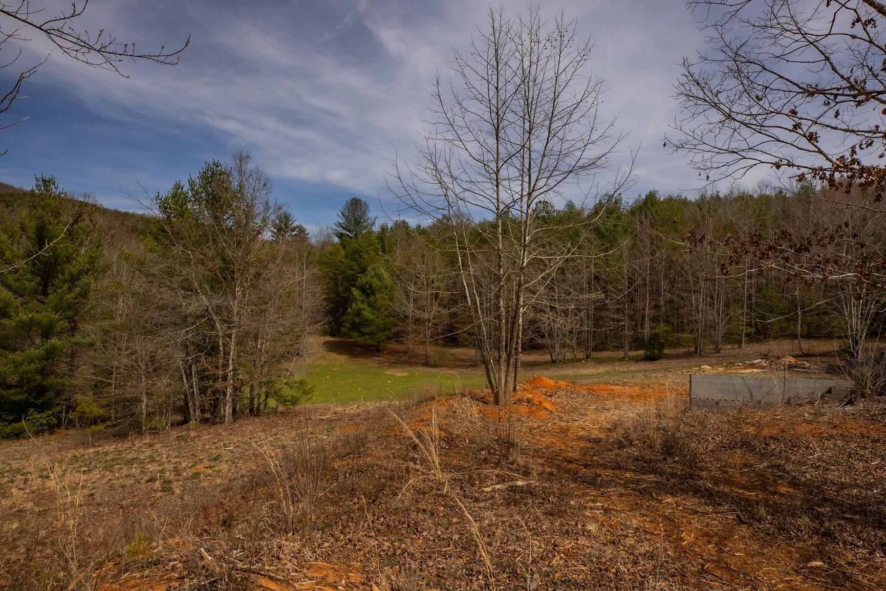 1577 Mount Olive Church Road Taylorsville NC 28681