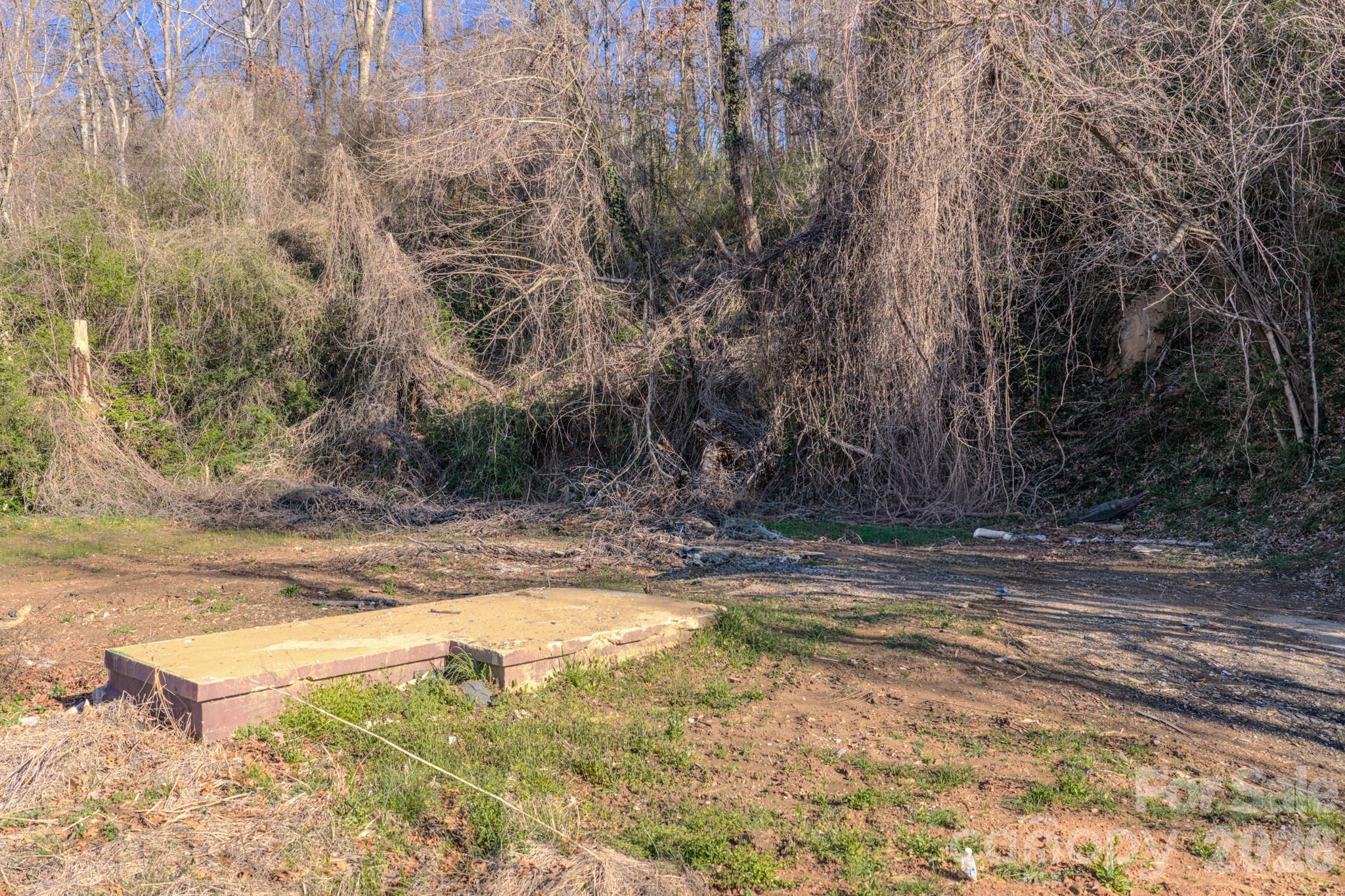 16 Governors View Road Asheville NC 28805