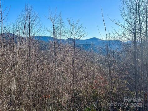 Lot 74 Freedom Way Bryson City NC 28713