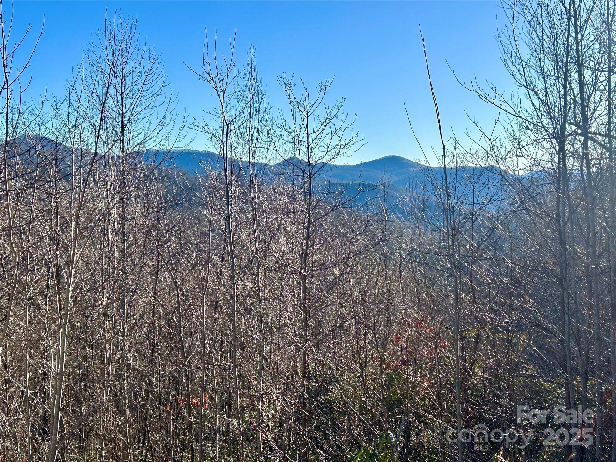 Lot 74 Freedom Way Bryson City NC 28713