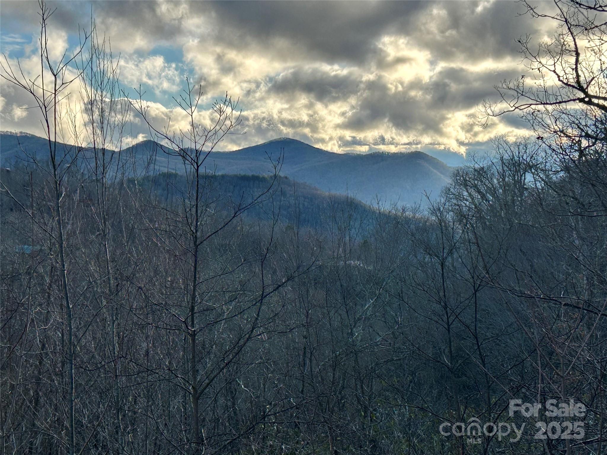 Lot 74 Freedom Way Bryson City NC 28713