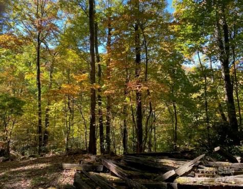 Lot A38 Tawodi Trail Maggie Valley NC 28751