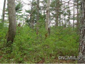 9 Partridge Lane Weaverville NC 28787