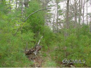 9 Partridge Lane Weaverville NC 28787