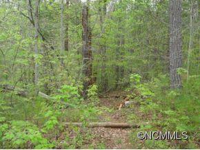 9 Partridge Lane Weaverville NC 28787