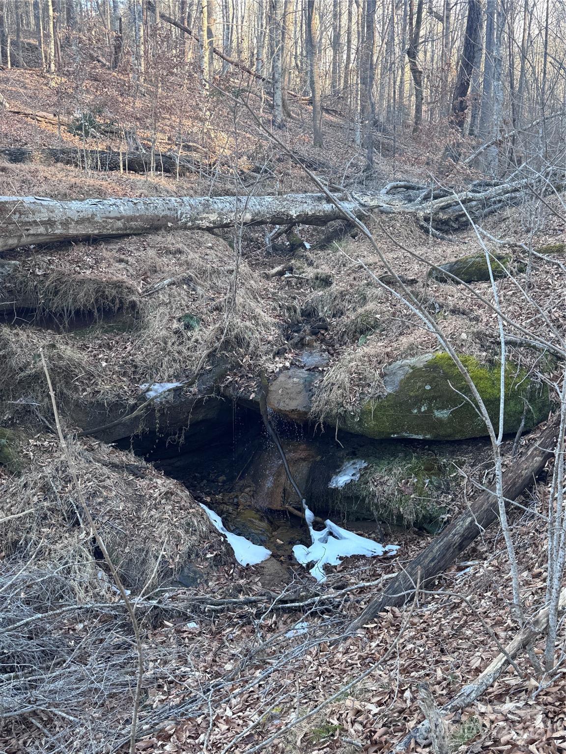 0 Creekside Circle Rutherfordton NC 28139