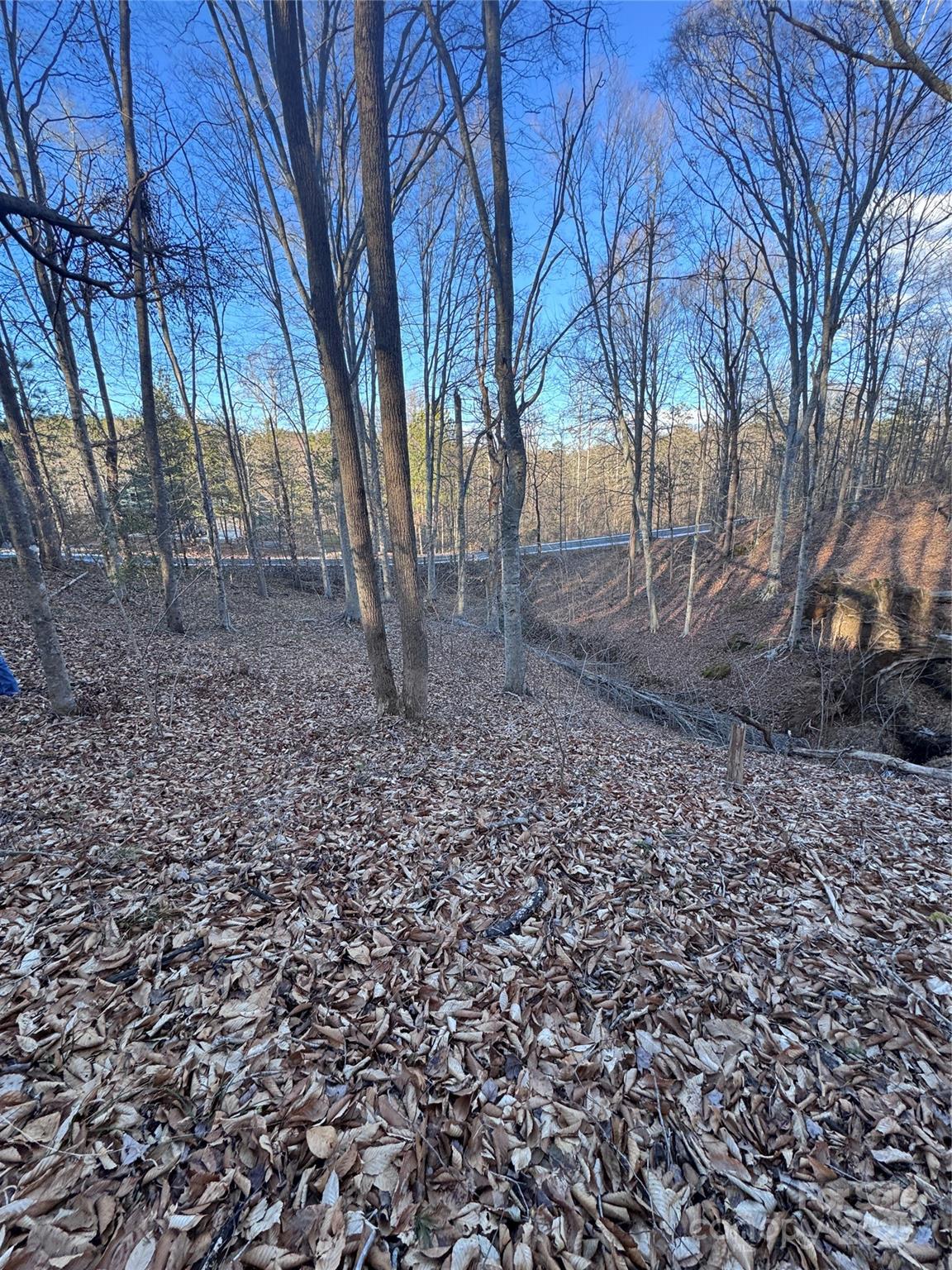 0 Creekside Circle Rutherfordton NC 28139