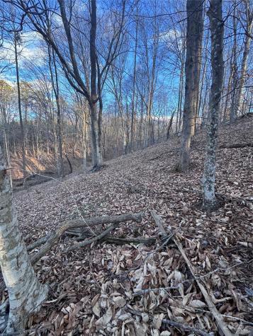 0 Creekside Circle Rutherfordton NC 28139