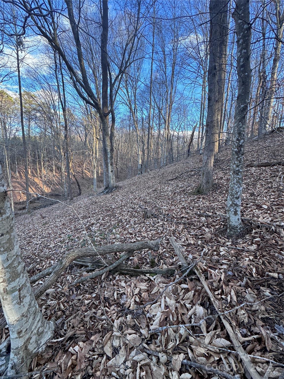 0 Creekside Circle Rutherfordton NC 28139