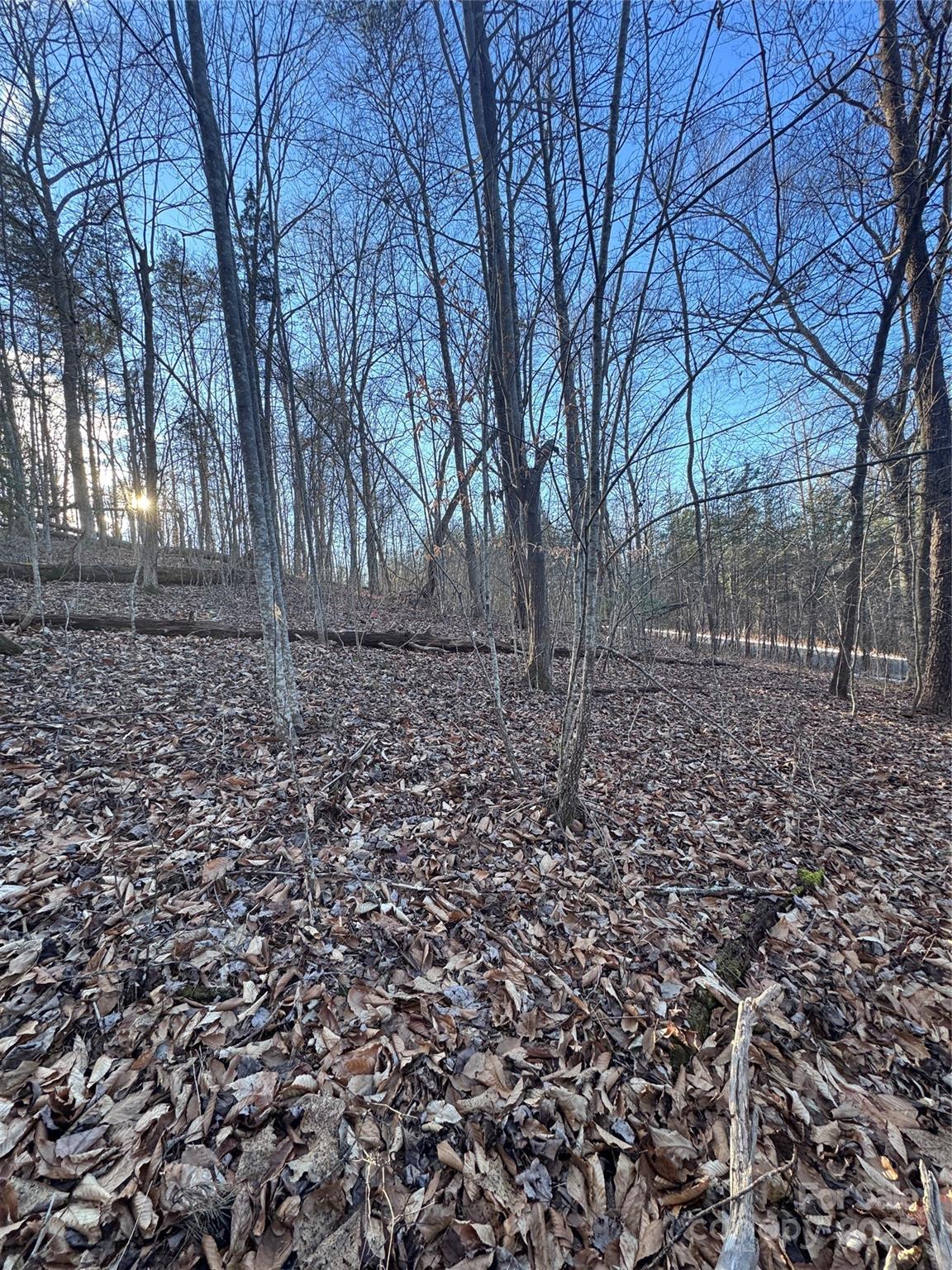 0 Creekside Circle Rutherfordton NC 28139